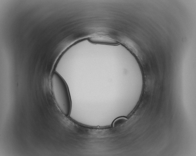 X0000111451284200908101027