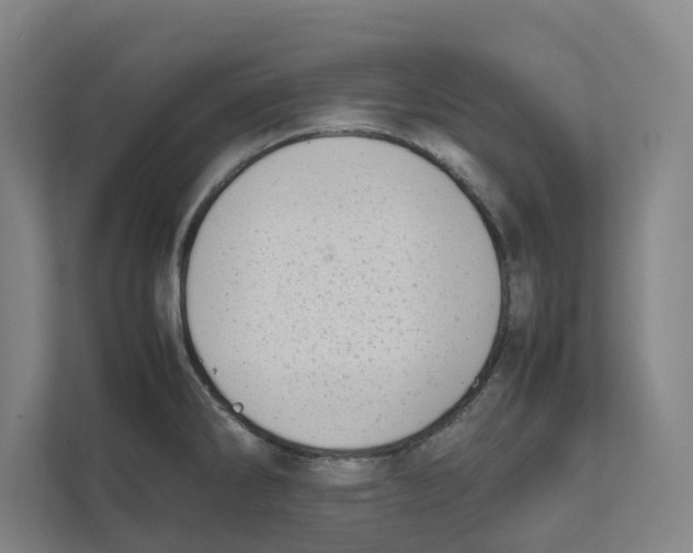 X0000111451286200908101027