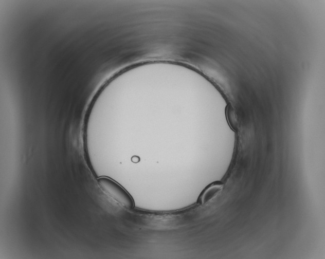 X0000111451288200908101027
