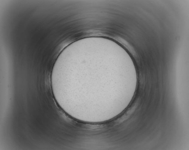 X0000111451289200908101027