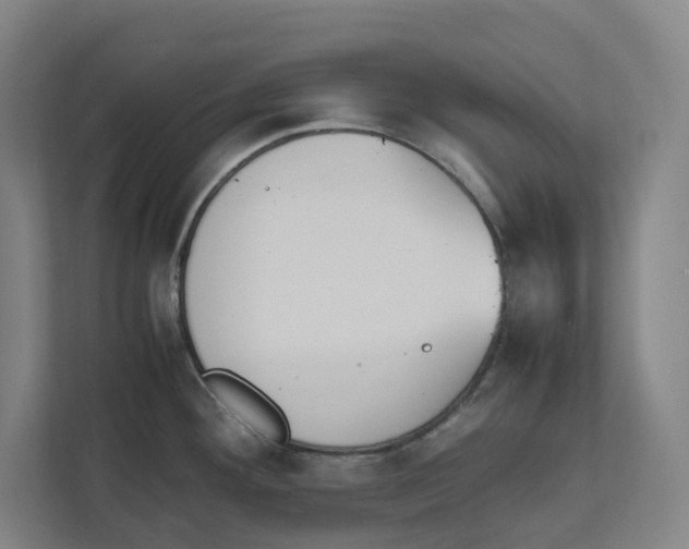 X0000111451292200908101027