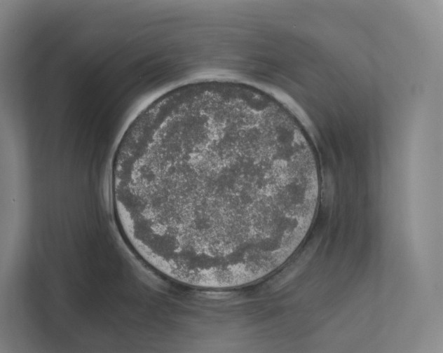 X0000111451295200908101027