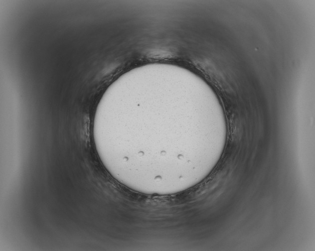 X0000111451301200908101026