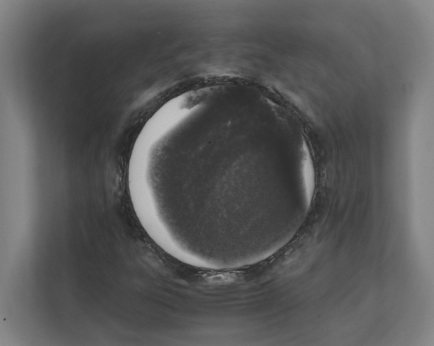 X0000111451303200908101026
