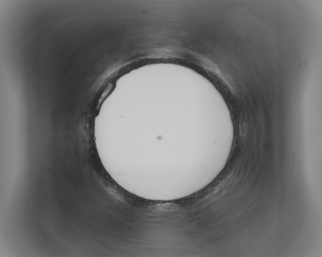 X0000111451304200908101026