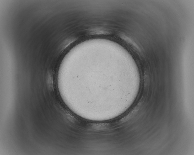 X0000111451305200908101026
