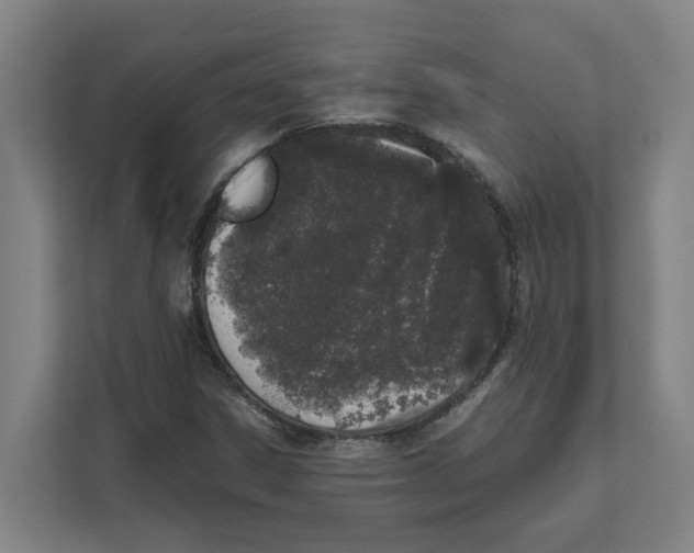X0000111451306200908101026