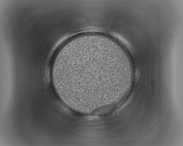 X0000111451310200908101026