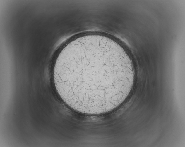 X0000111451311200908101026