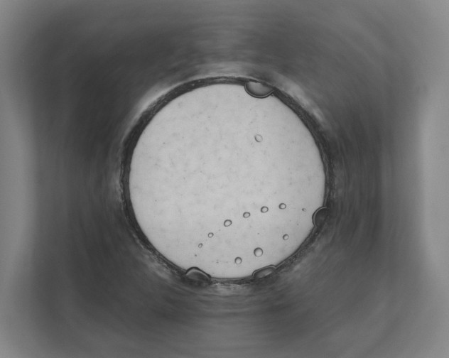X0000111451312200908101026
