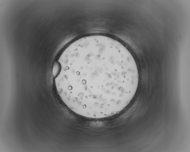 X0000111451317200908101027
