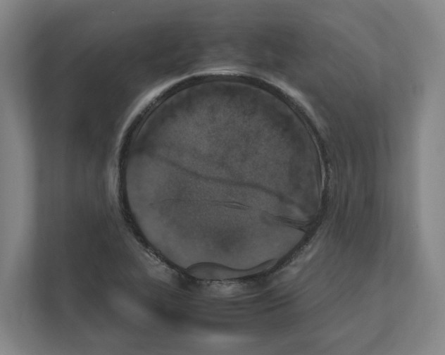 X0000111451319200908101027
