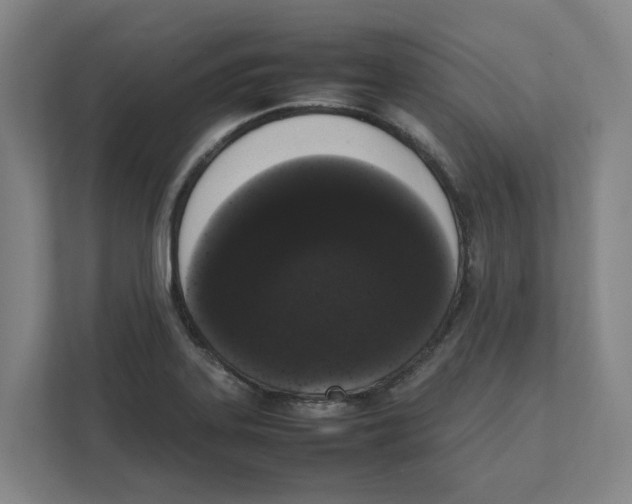 X0000111451323200908101027
