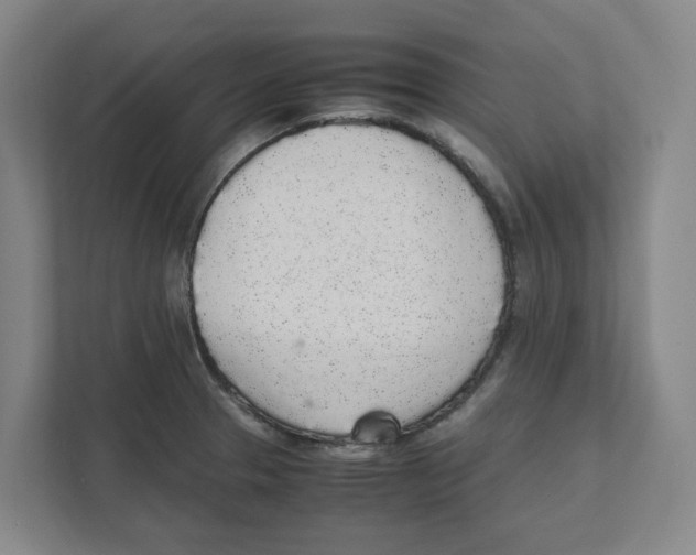 X0000111451329200908101027