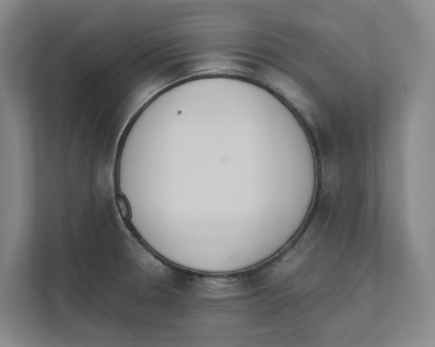 X0000111451330200908101027