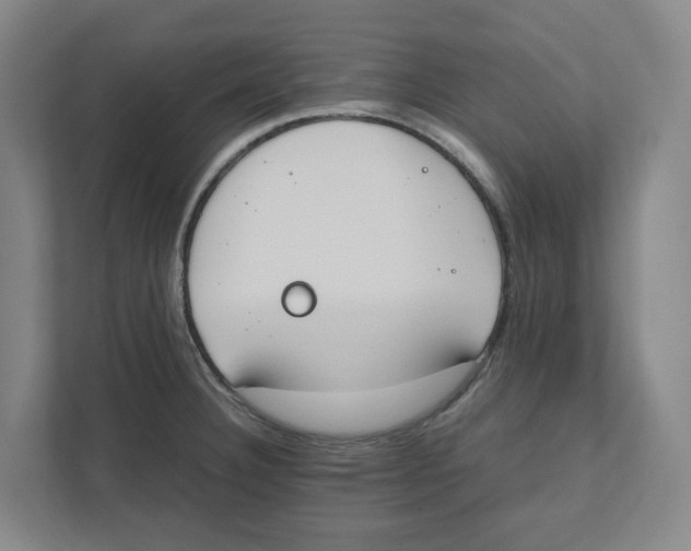 X0000111451332200908101027