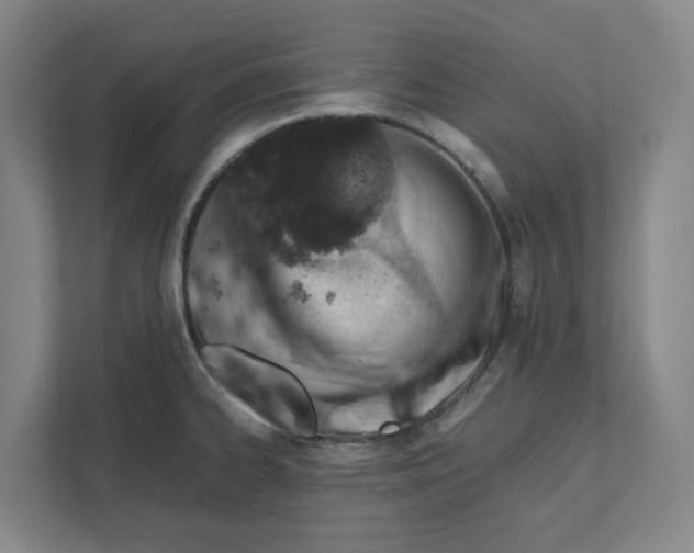X0000111451334200908101027
