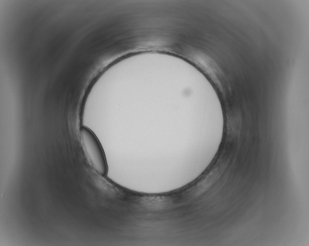 X0000111451336200908101027