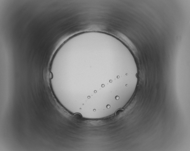 X0000111451340200908101027