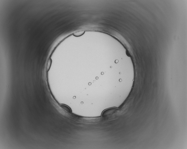 X0000111451344200908101027