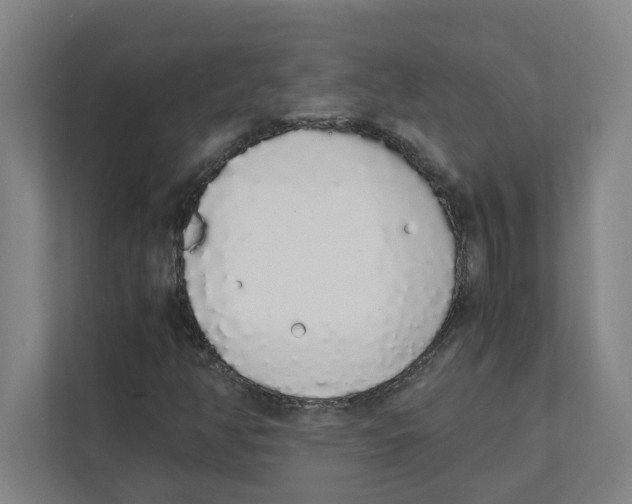 X0000111451350200908101026