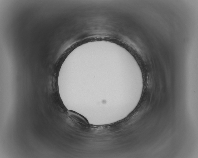 X0000111451352200908101026