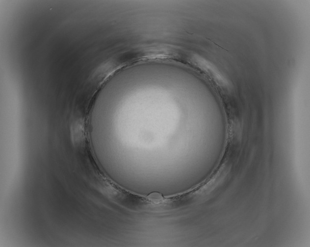 X0000111451353200908101026