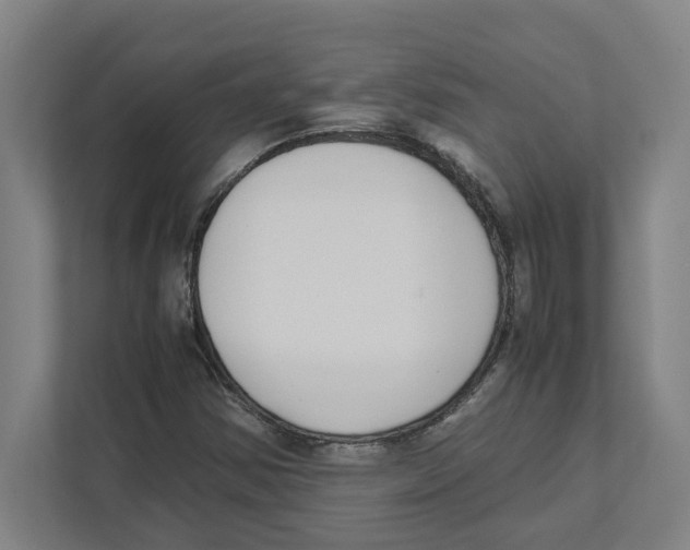 X0000111451354200908101026