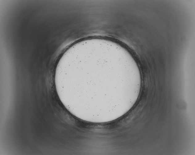 X0000111451359200908101026