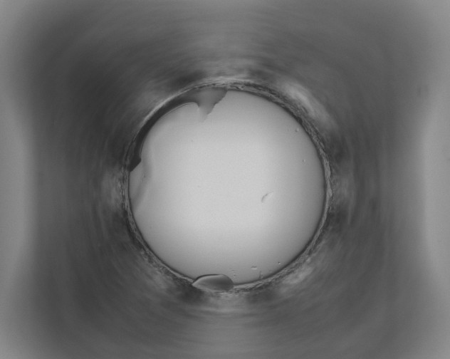 X0000111451361200908101026