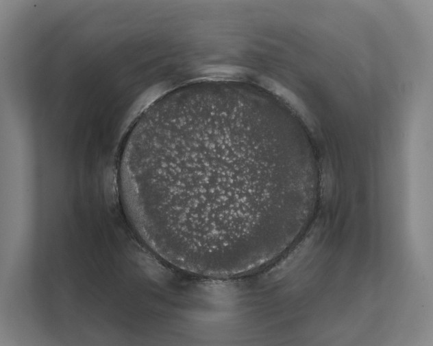 X0000111451362200908101026