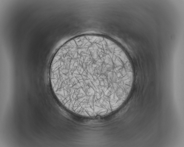 X0000111451367200908101026