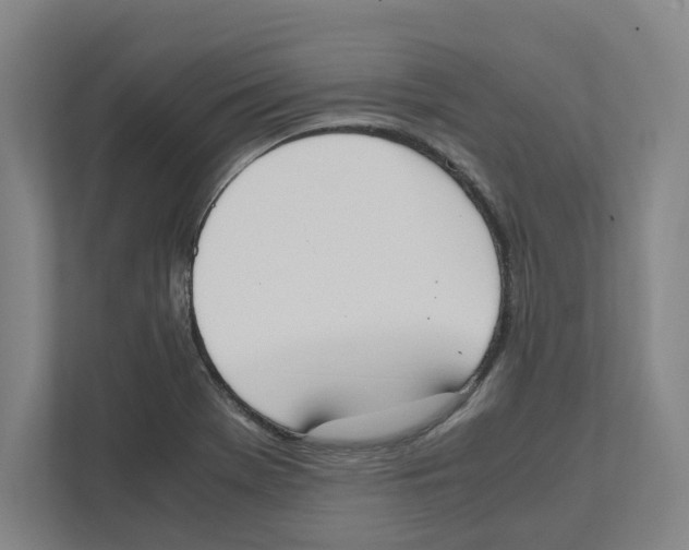 X0000111451369200908101026