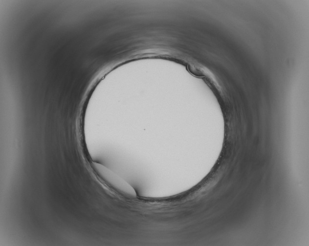X0000111451373200908101026