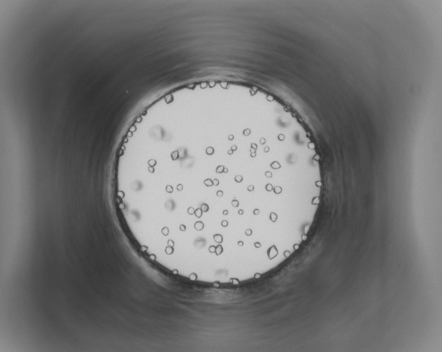 X0000111451379200908101026