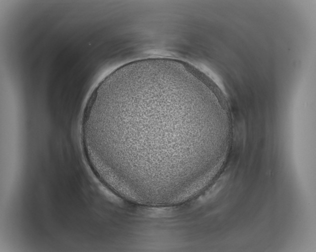 X0000111451381200908101026