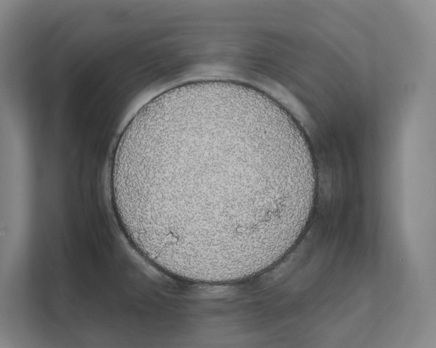 X0000111451382200908101026