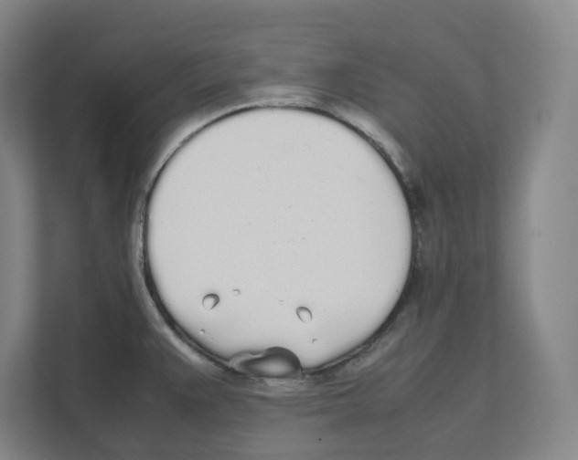 X0000111451383200908101026