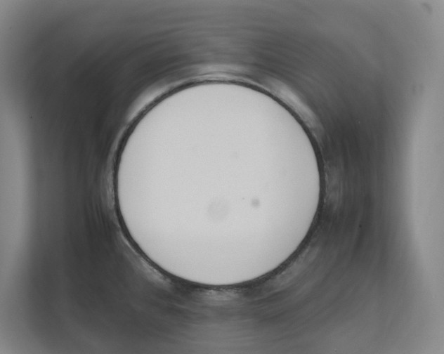 X0000111451384200908101026