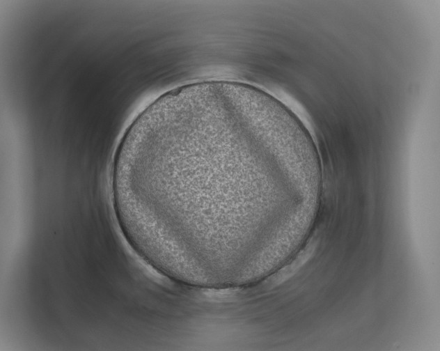 X0000111451389200908101026