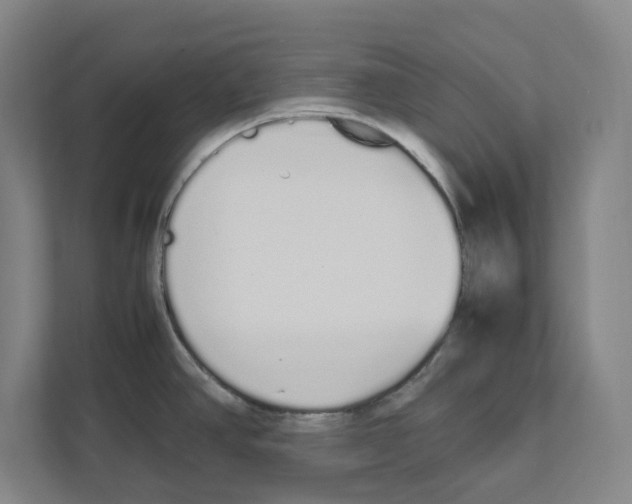 X0000111451390200908101026