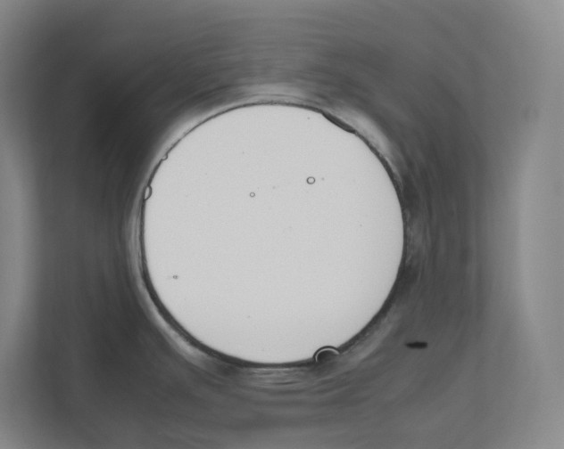 X0000111451391200908101026