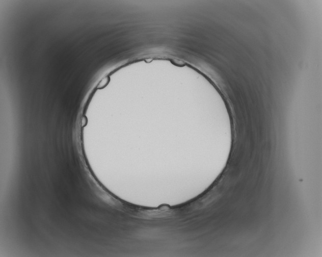 X0000111451392200908101026