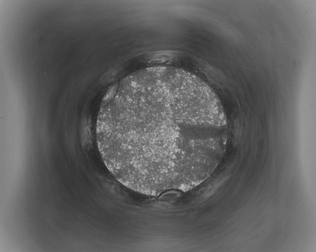 X0000111451394200908101025
