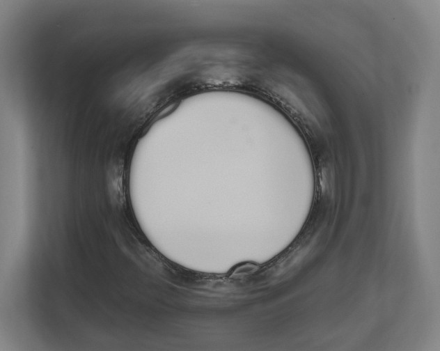 X0000111451396200908101025
