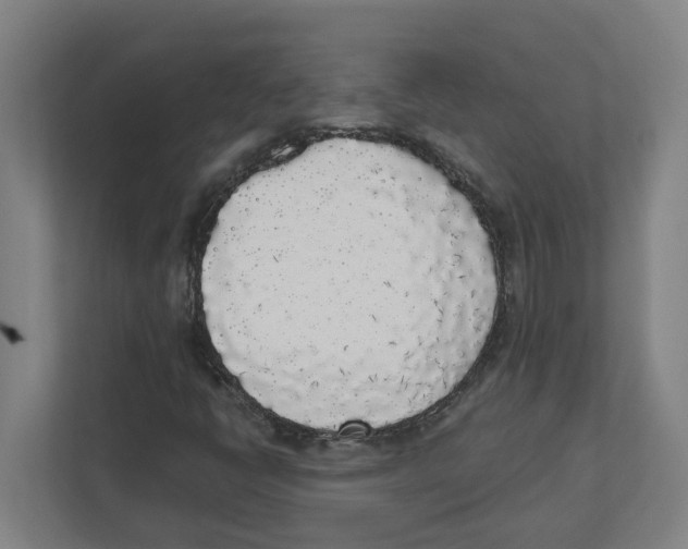 X0000111451398200908101025