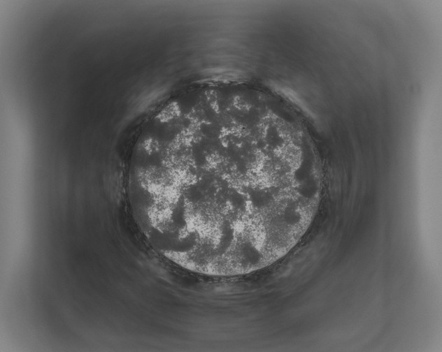 X0000111451399200908101025