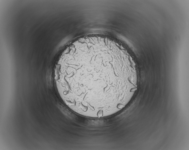 X0000111451403200908101025