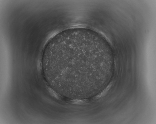 X0000111451405200908101025