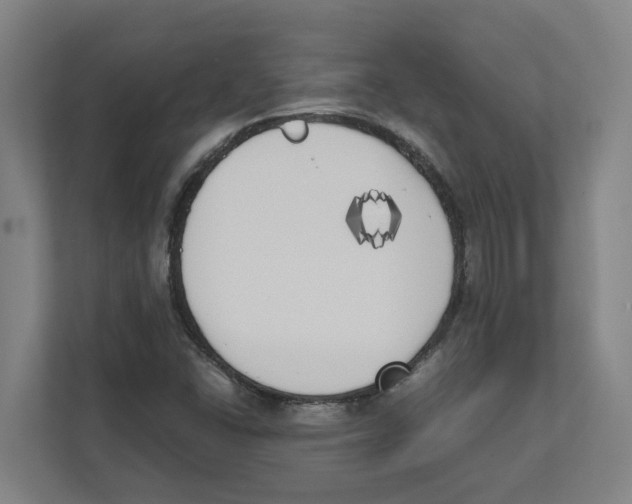 X0000111451406200908101025